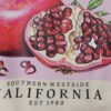 COCOMORE Bluza Dresowa Grenadyna Beżowa 38/M NEW - obrazek 14